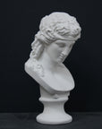 photo of plaster cast of sculpture bust of Ariadne or Bacchus with long, curly hair and head band on a black background