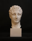 Photo of a sculpture of Hermes head on a black background