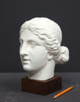 Photo of a sculpture of a female head on a gray background