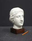 Photo of a sculpture of a female head on a gray background