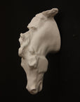image of a plaster cast sculpture of a horse head mounted on a dark gray surface