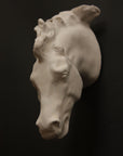 image of a plaster cast sculpture of a horse head mounted on a dark gray surface