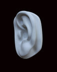 photo of cast sculpture drawing of left ear from Michelangelo's David statue against a black background