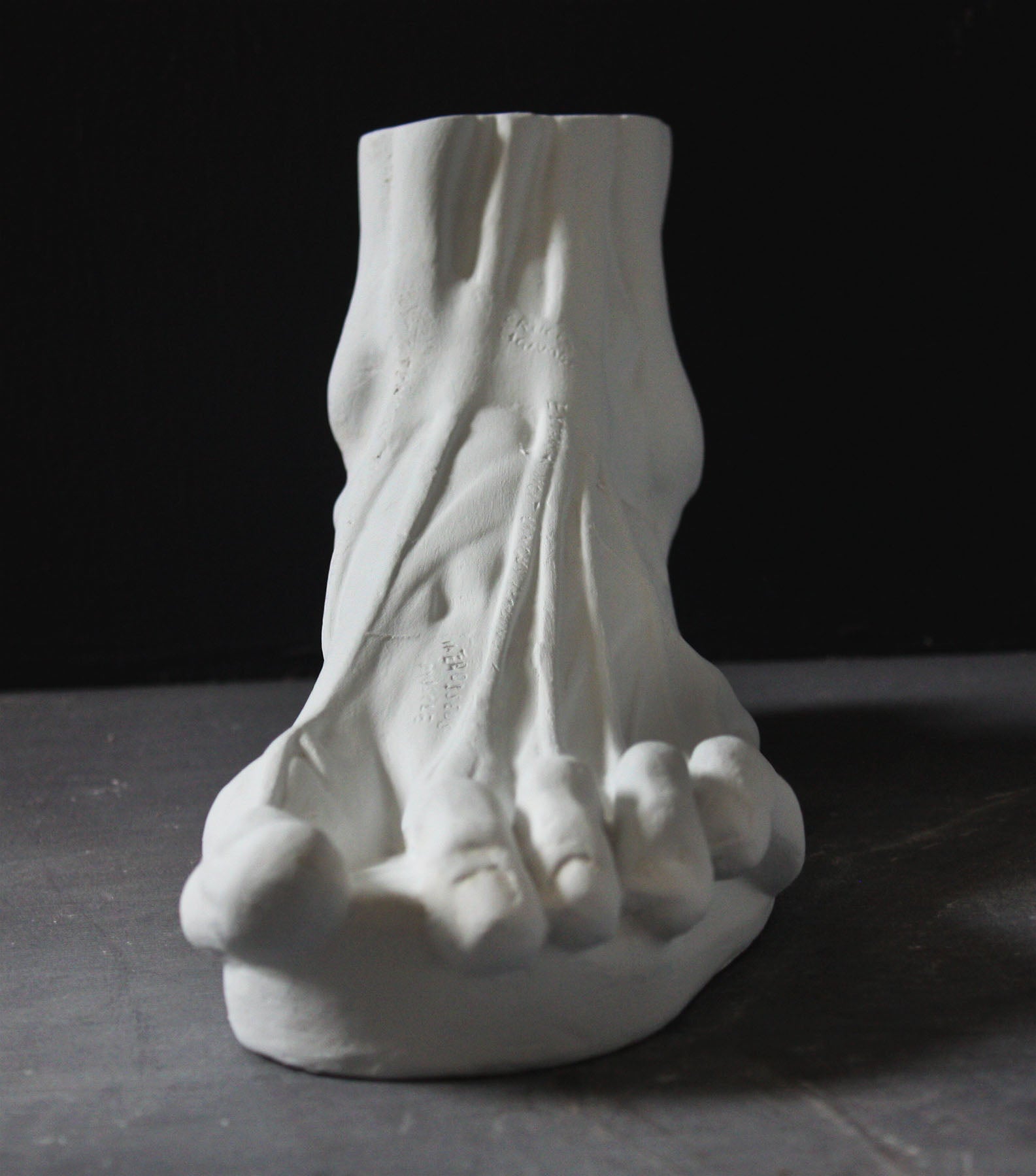 photo with gray background of plaster cast sculpture of flayed left foot  on panel