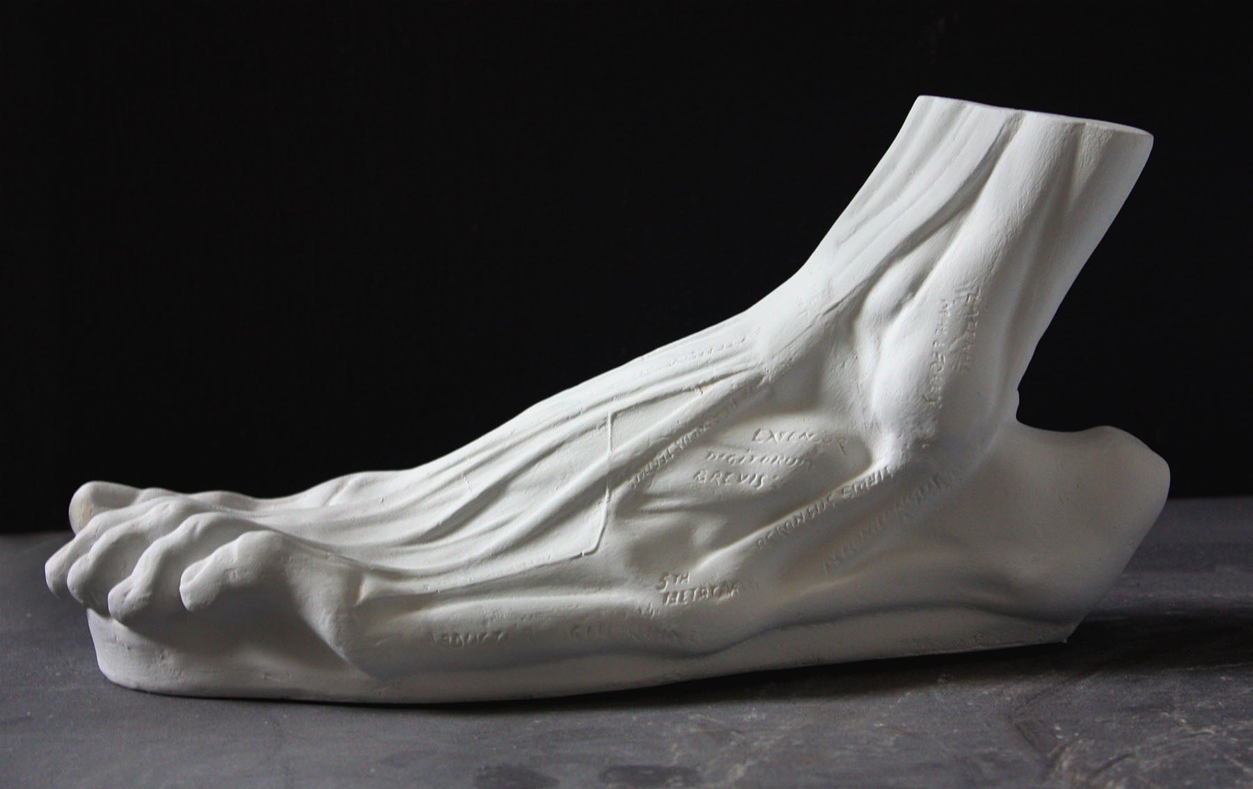 photo with gray background of plaster cast sculpture of flayed left foot on panel