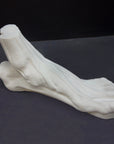 photo with gray background of plaster cast sculpture of flayed left foot on panel