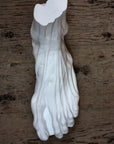 photo with wood background of plaster cast sculpture of flayed left foot on panel