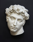 photo of white plaster cast mask of sculpture of head, namely Giuliano de Medici, on a gray background