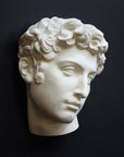 photo of white plaster cast mask of sculpture of head, namely Giuliano de Medici, on a gray background