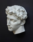 photo of white plaster cast mask of sculpture of head, namely Giuliano de Medici, on a gray background
