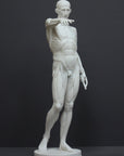 photo of plaster cast sculpture of flayed male figure study with right arm outstretched and left arm down on a gray background