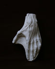 Photo of a plaster cast of a flayed hand for artist study on a black background