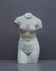 Image of a plaster statue as a bust of venus on a grey background