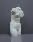 Image of a plaster statue as a bust of venus on a grey background
