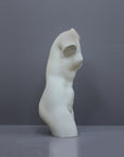 Image of a plaster statue as a bust of venus on a grey background