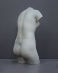 Image of a plaster statue as a bust of venus on a grey background