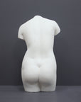 Image of a plaster statue as a bust of venus on a grey background