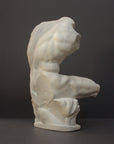 image of a plaster sculpture of nude male torso on a gray background