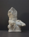 image of a plaster sculpture of nude male torso on a gray background