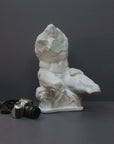 image of a plaster sculpture of nude male torso next to a camera on a gray background