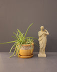 photo of off-white plaster cast statue of female in robes with left arm raised and holding robe beside a potted plant on gray background