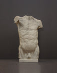photo of plaster cast of sculpted flayed male torso on a gray background