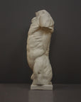 photo of plaster cast of sculpted flayed male torso on a gray background