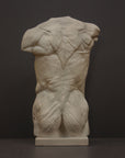 photo of plaster cast of sculpted flayed male torso on a gray background