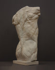 photo of plaster cast of sculpted flayed male torso on a gray background