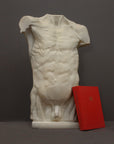 photo of plaster cast of sculpted flayed male torso next to a red book on a gray background