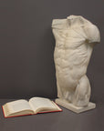 photo of plaster cast of sculpted flayed male torso next to an open book on a gray background