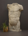 photo of plaster cast of sculpted flayed male torso next to a potted plant on a gray background