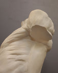 detail photo of plaster cast of sculpted flayed male torso on a gray background