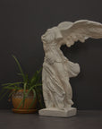 photo of plaster cast sculpture of winged, headless female figure with flowing drapery next to a potted plant on a gray background