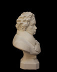 photo of plaster cast sculpture of male bust of Ludwig van Beethoven in dress coat and ruffled necktie on black background