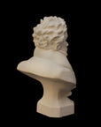 back view photo of plaster cast sculpture of male bust of Ludwig van Beethoven in dress coat and ruffled necktie on black background