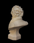 back view photo of plaster cast sculpture of male bust of Ludwig van Beethoven in dress coat and ruffled necktie on black background