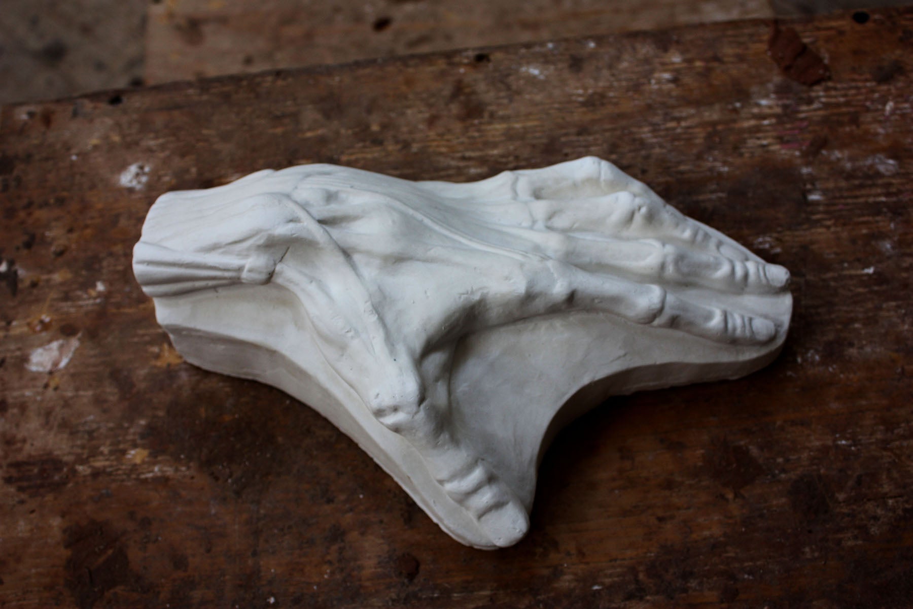 Photo of a plaster cast of a flayed hand for artist study on a wooden table with paint splatters