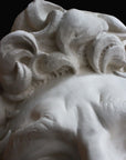 Photo of plaster cast sculpture of head from Michelangelo's David statue on a black background