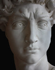 Photo of plaster cast sculpture of head from Michelangelo's David statue on a black background