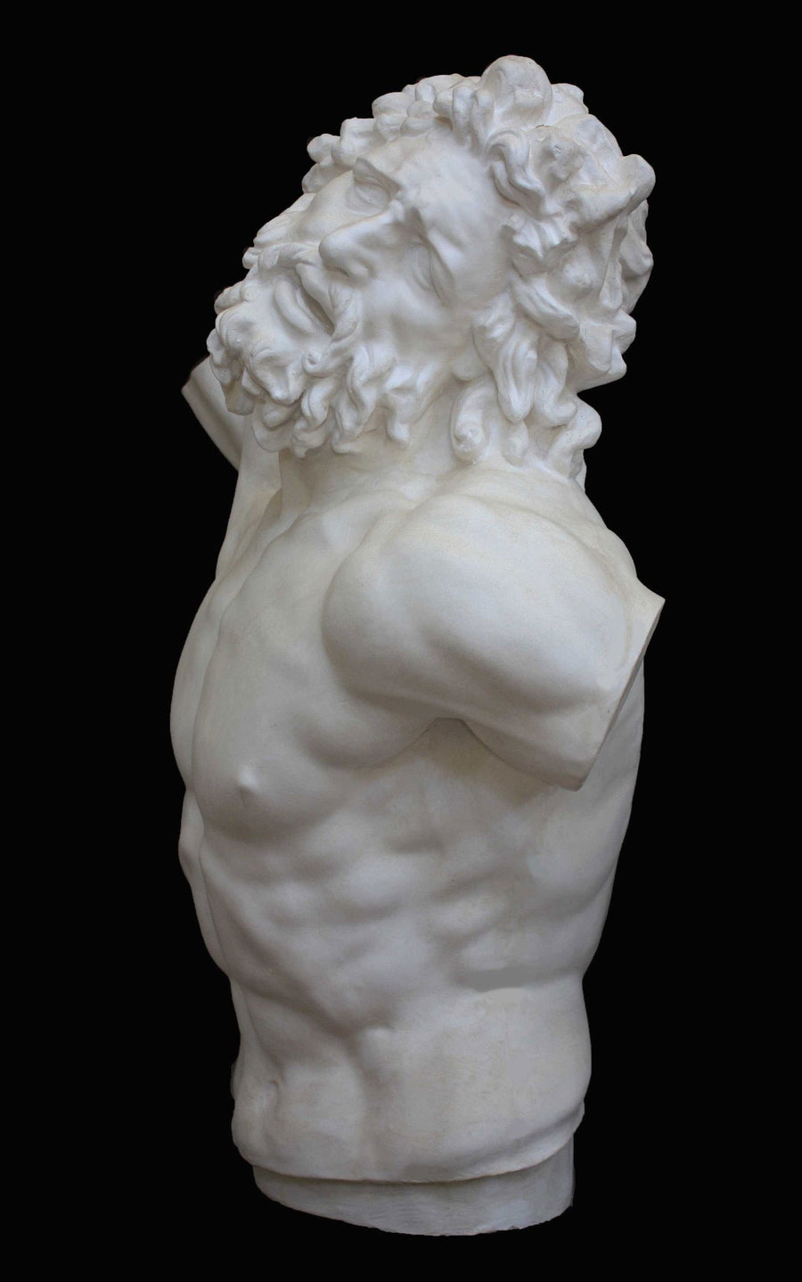 photo with black background of plaster cast of sculpted male torso and head with curly hair and beard, namely Laocoon