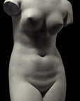 Venus de Medici - Item