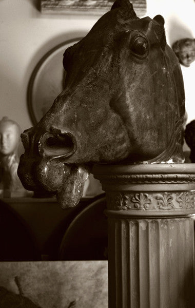 photo of plaster cast sculpture of horse's head with open mouth on a pedestal surrounded by other plaster casts