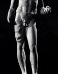 Hercules (reduction) - Item