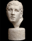 photo of white plaster cast reproduction of Ancient Greek bust of male from Borghese Warrior statue on black background