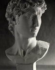 Photo of plaster cast sculpture of head from Michelangelo's David statue on a gray background