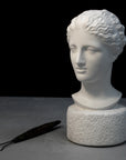 Photo of Plaster Cast sculpture bust of goddess Hebe on a gray and black background
