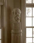 Socrates - Item