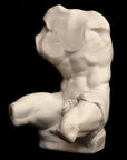 Belvedere Torso (reduction) - Item