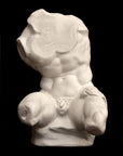 Belvedere Torso Reduction - Item